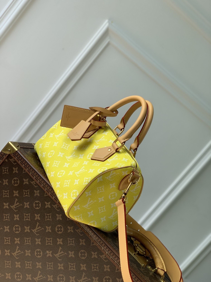 LV Travel Bags